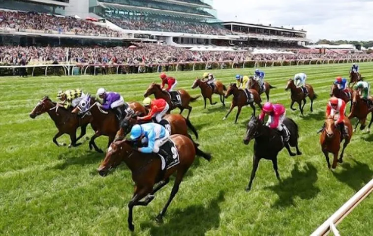 Khám Phá Cá Cược Đua Ngựa F8Bet Đỉnh Cao Giải Trí 2 Khám Phá Cá Cược Đua Ngựa F8Bet Đỉnh Cao Giải Trí