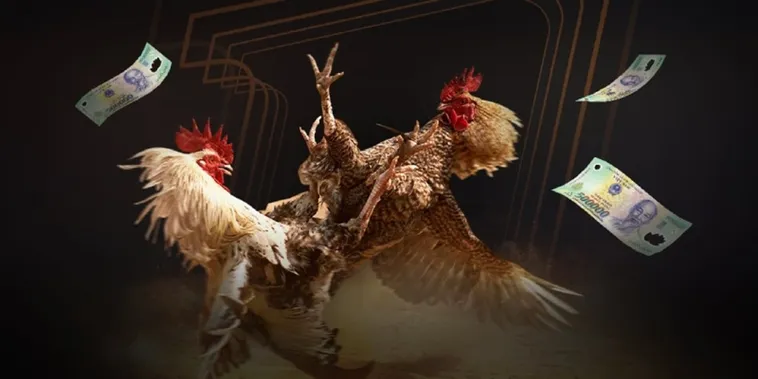 Khám Phá Đá Gà F8Bet Trực Tiếp Kịch Tính Nhất 2025